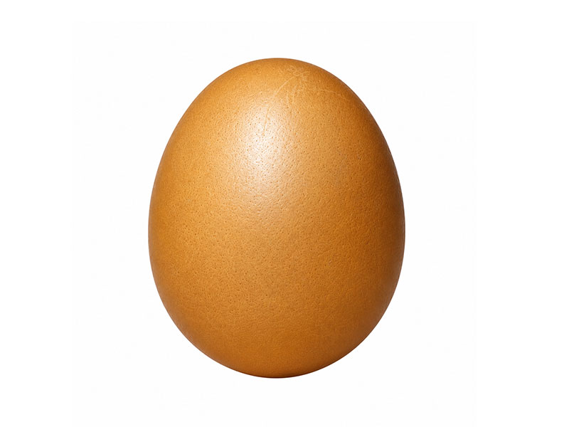 telur ayam butir
